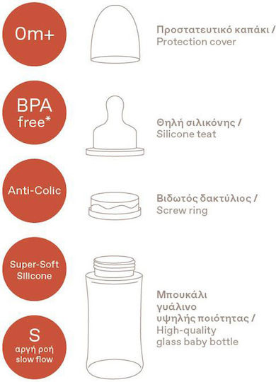 Korres Glas Babyflasche Agali Gegen Koliken mit Silikon Saugflasche für 0+ Monate Grau 230ml