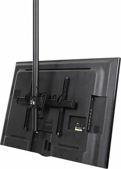 StarTech S55058201 Βάση Τηλεόρασης Οροφής με Βραχίονα έως 75" και 50kg