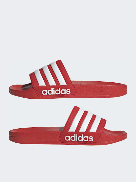 Adilette Shower Men's Slides Vivid Red