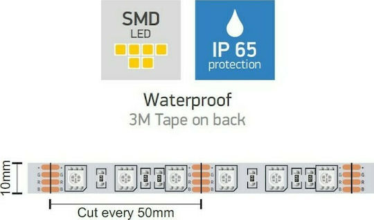 Spot Light Waterproof Smart LED Strip Wi-Fi 220V RGB Light 10m with Power Supply, Remote Control & WiFi Controller