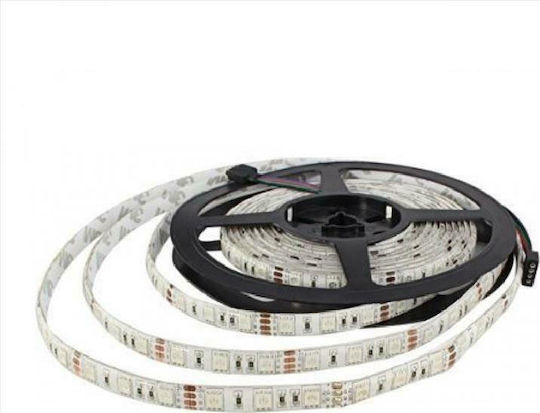 Eurolamp Ταινία LED 12V Φυσικό Λευκό Φως 3m Τύπου SMD2835 με Τροφοδοτικό
