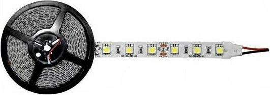 Atman Ταινία LED 12V RGB Φως 1m Τύπου SMD5050