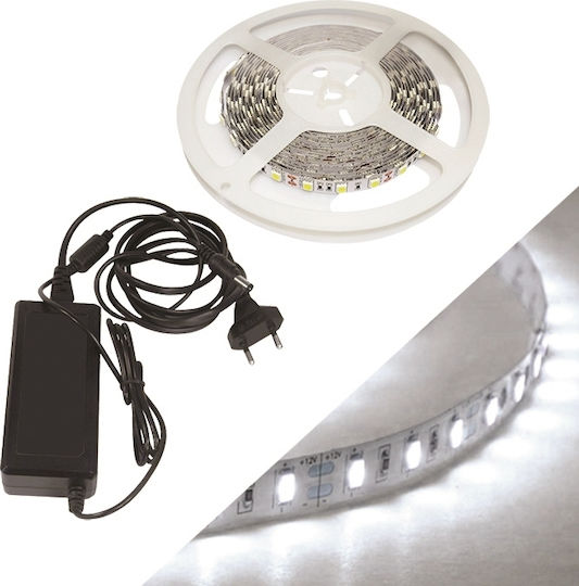 Fos me Waterproof LED Strip 12V Cold White Light 5m with Power Supply