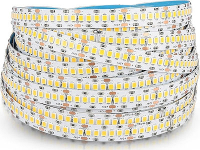 V-TAC Bandă LED Alimentare 24V cu Lumină Alb Cald Lungime 10m și 240 LED-uri pe Metru SMD2835