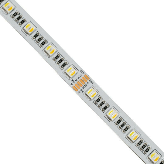 GloboStar LED Strip 24V RGBW Light 5m Type SMD5050