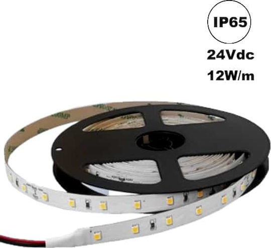 Cubalux Waterproof LED Strip 24V Natural White Light 5m Type SMD2835