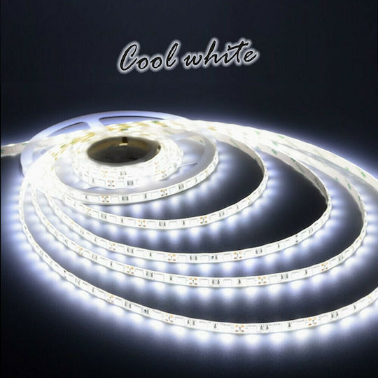 Atman Ταινία LED 12V Θερμό Λευκό Φως 1m Τύπου SMD5050