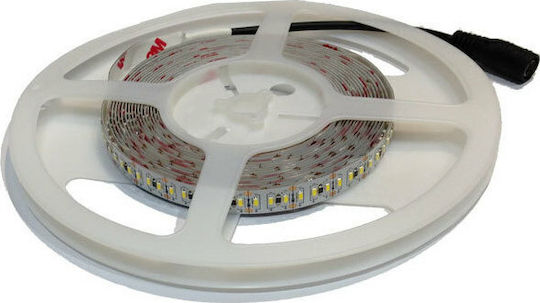 V-TAC LED Strip 12V Cold White Light 5m Type SMD3014