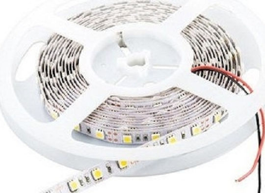 Cubalux Waterproof LED Strip 12V Natural White Light 5m Type SMD2835