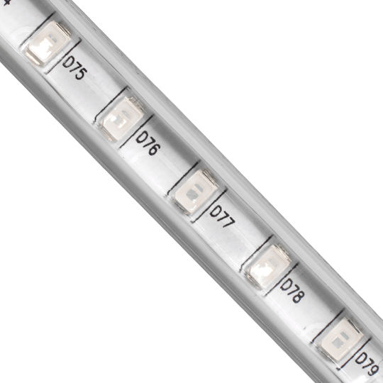 GloboStar Αδιάβροχη Ταινία LED 220V Πράσινο Φως 1m Τύπου SMD2835