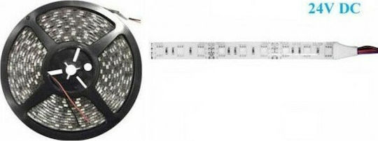 Atman Rezistent la apă Bandă LED 24V Alb Rece Lumină 5m Tip SMD5050