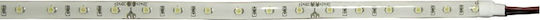 Adeleq LED Strip 12V Cold White Light 5m Type SMD3528