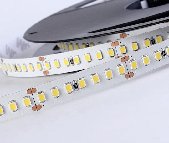 Aca Αδιάβροχη Ταινία LED 24V Ψυχρό Λευκό Φως 1m Τύπου SMD2835