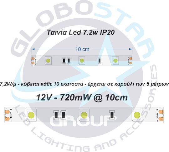 GloboStar Ταινία LED 12V Ψυχρό Λευκό Φως 5m Τύπου SMD5050