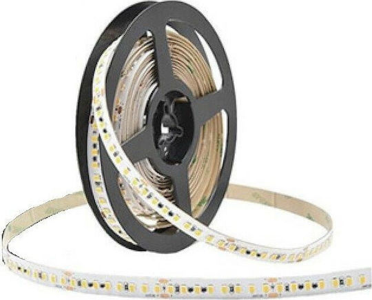 Cubalux Rezistent la apă Bandă LED 24V Alb Cald Lumină 5m Tip SMD2835