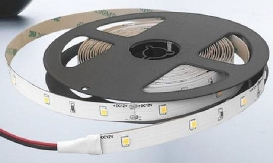 Cubalux Αδιάβροχη Ταινία LED 12V Ψυχρό Λευκό Φως 5m Τύπου SMD2835