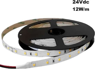 Cubalux Ταινία LED Τροφοδοσίας 24V με Θερμό Λευκό Φως Μήκους 5m και 60 LED ανά Μέτρο