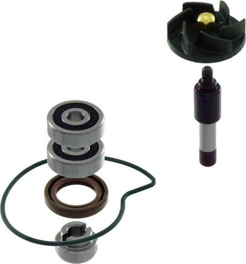RMS Motorcycle Water Pump Repair Kit Piaggio Beverly 300