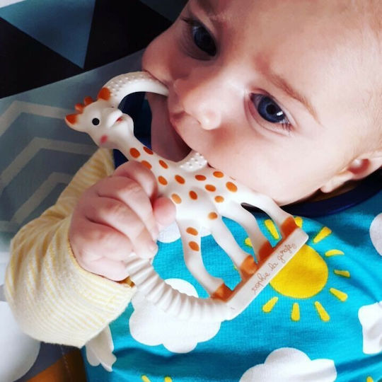 Sophie La Girafe Sophie the Giraffe Μασητικός Κρίκος Οδοντοφυΐας από Καουτσούκ για 0 m+