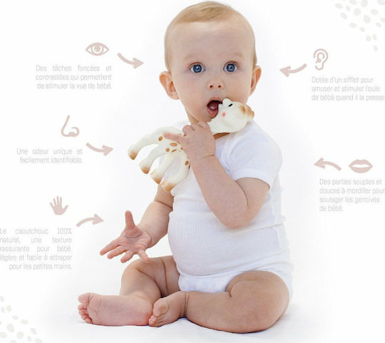 Sophie La Girafe So Pure Teething Relief made of Rubber for 0 m+
