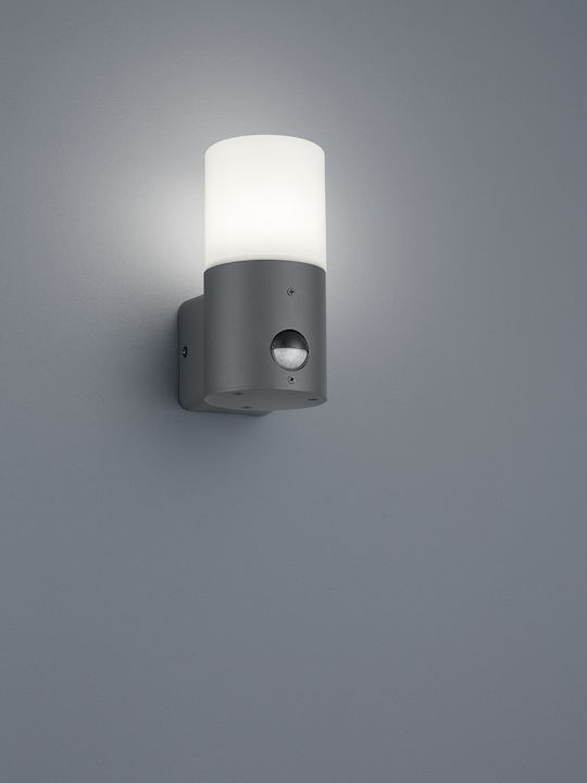 Trio Lighting Hoosic Wall-Mounted Outdoor Ceiling Light E27 IP44 8x17εκ.