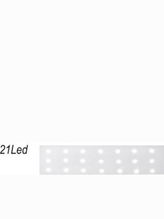Adeleq Стенен Външен Плафон LED IP54 1.3W 18x6εκ.