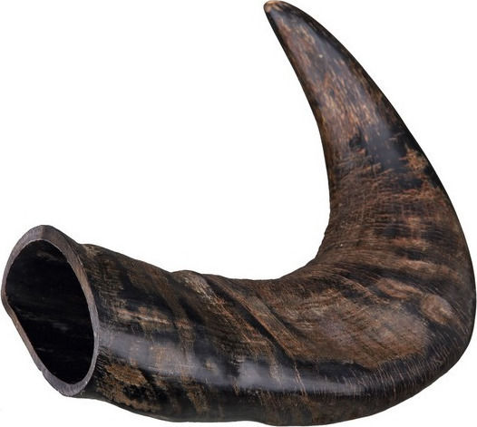 Trixie Buffalo Horn Teether Horn Dog Medium Breeds from Buffalo