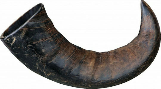 Trixie Buffalo Horn Teether Horn Dog Large Breeds from Buffalo