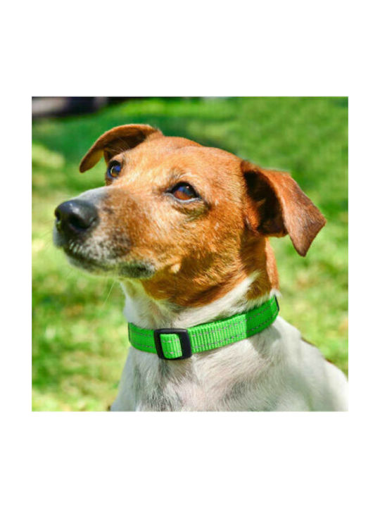 Rogz Utility Hundehalsband in Braun Farbe Halsband SM RGHB14J