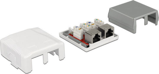 DeLock Διπλή Εξωτερική Πρίζα Δικτύου RJ45 Τύπου Cat6 σε Λευκό Χρώμα 86197