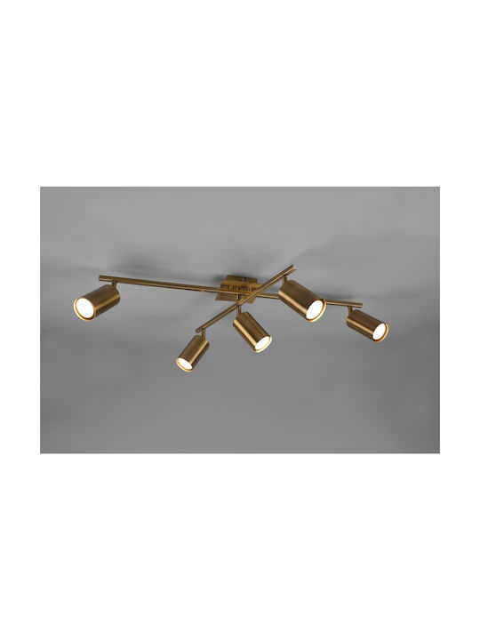 Trio Lighting Marley Spot with 5 Lights and with Socket GU10 in Gold Color