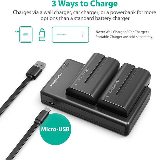 RAVPower Baterie aparat foto RP-BC006 2900mAh Compatibilă cu Sony