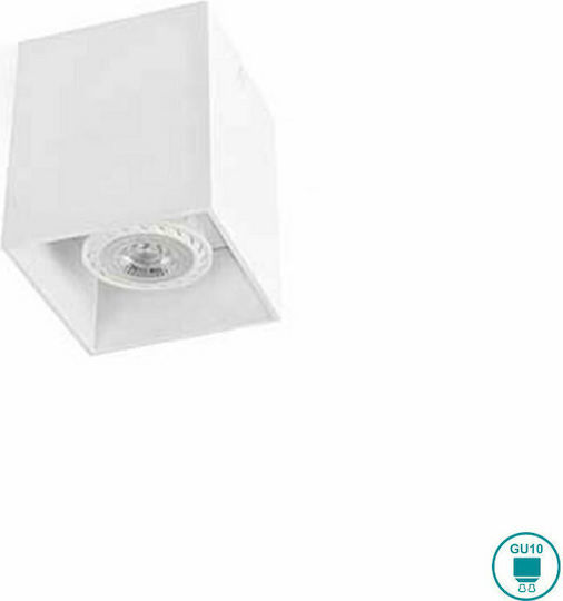 Faro Barcelona Tecto Spot with Socket GU10 Faro Barcelona Tecto Spot with Socket GU10