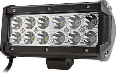 Autoline LED Universell 10 - 30V 36W 16.7cm 1Stück