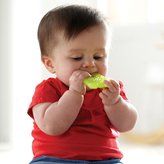 Munchkin Fun Ice Foot Teething Ring with Gel BPA Free Silicone for 0 m+ Green