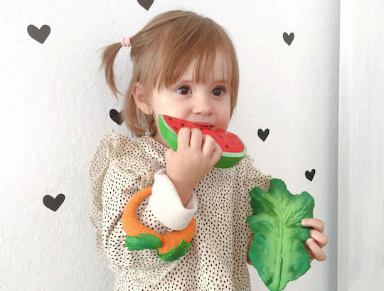 Oli&Carol Cathy the Carrot Μασητικός Κρίκος Οδοντοφυΐας από Καουτσούκ για 3 m+