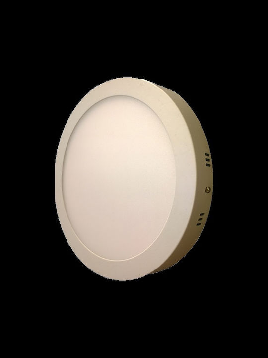 Spot Light Round Outdoor LED Panel 24W with Natural White Light 4000K 24cm