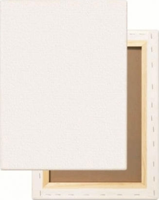 The Littlies Canvas White