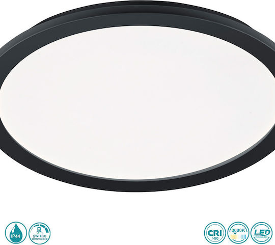 Trio Lighting Camillus Trio Lighting Camillus