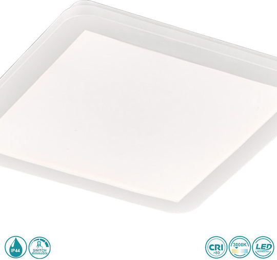 Trio Lighting Camillus Trio Lighting Camillus
