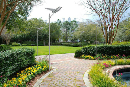 Factory Street Solar Light 300W 2600lm Cold White 6500K with Photocell IP67
