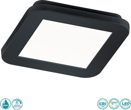 Trio Lighting Camillus Trio Lighting Camillus