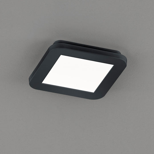 Trio Lighting Camillus Platz Draußen LED Panel 10W mit Warmes Weiß Licht 3000K
