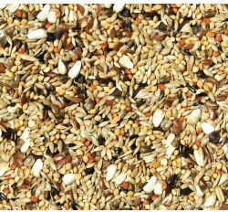 Royal Vogelfutter Royal Voggelfutter No38 Agapornis Τροφή για Παπαγαλάκια 20kg