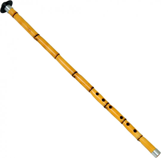 Saz New in Tuning B (B)