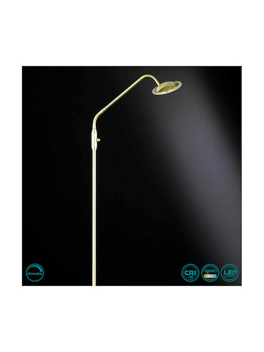 Wofi Twin LED Floor Lamp H157xW33cm. with Warm White Light 400lm Gold