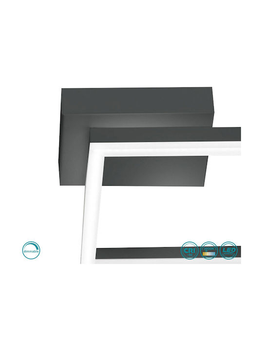 Fabas Luce Bard Ceiling Mount Light 27cm Black with Integrated LED