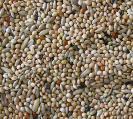 Deli Nature Premium Food for Budgerigars 1kg