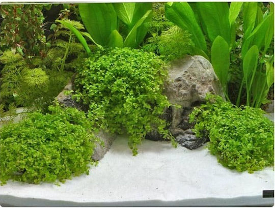 Dennerle Plantahunter Aquarium Soils / Substrates 5kg