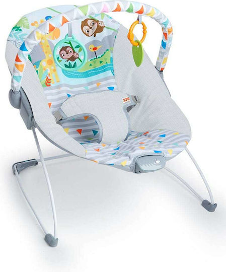 Bright Starts Elektrisch Baby Relax Safari Fun mit Vibration Mehrfarbig für Kind bis 9kg